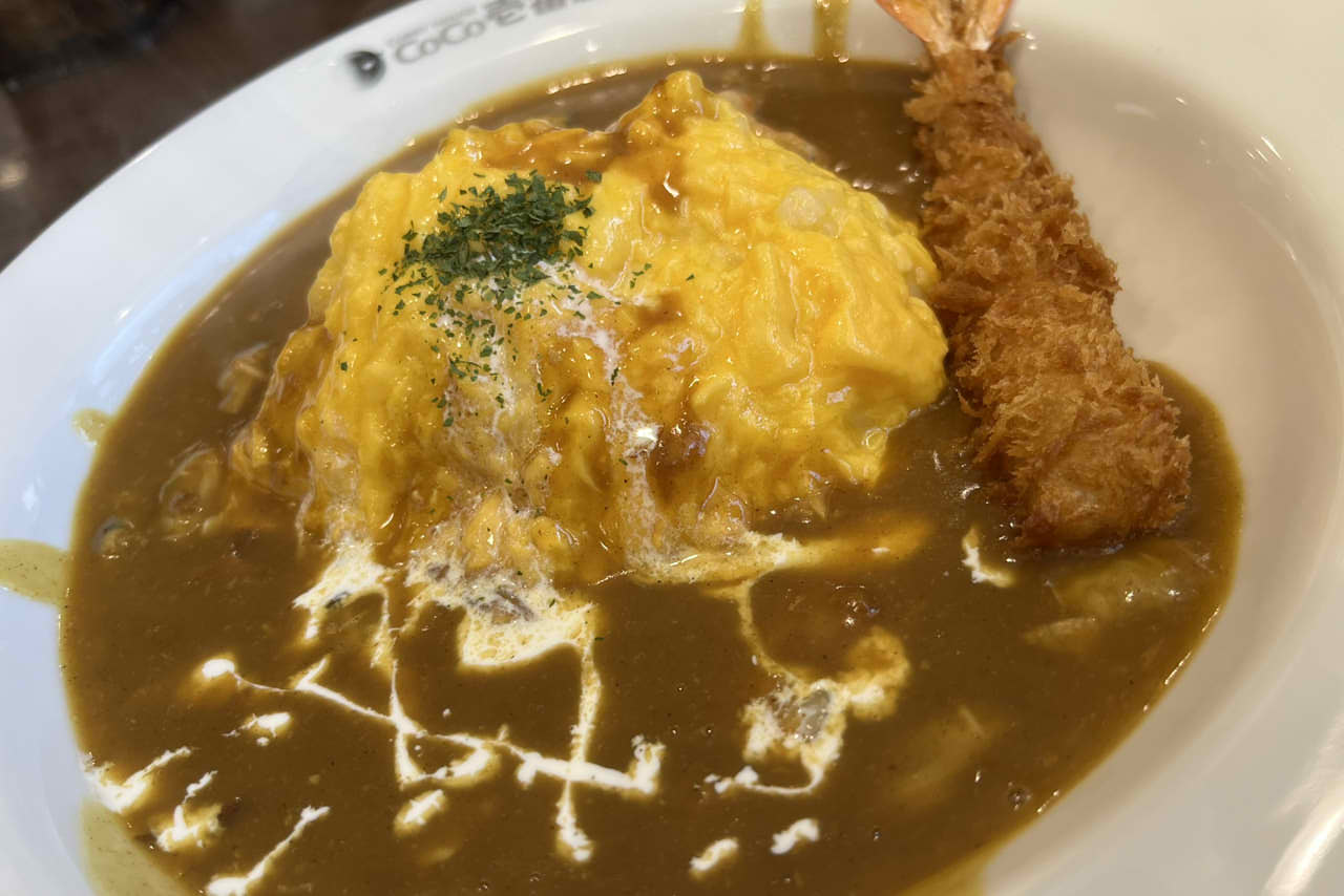 【CoCo壱番屋堺中百舌鳥店】家族連れ歓迎！絶品牛すじ煮込みカレーと子供メニュー、広い駐車場で快適カレー体験