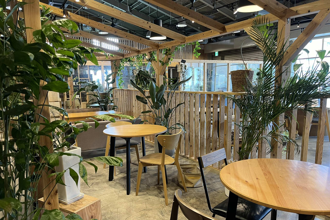 the SOUP green & cafe　堺市　カフェ　観葉植物　百舌鳥　西之町