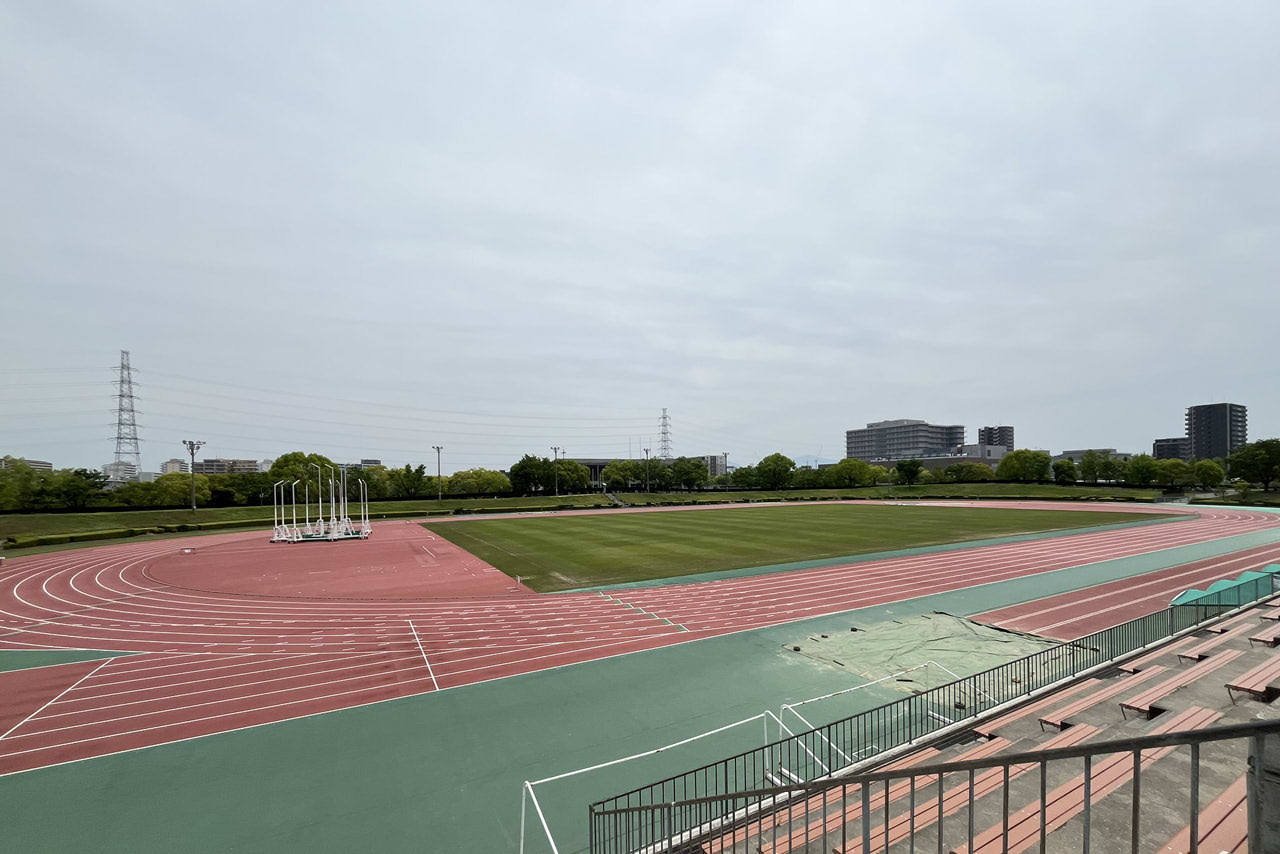 金岡公園の雰囲気や施設が伝わる現地の風景