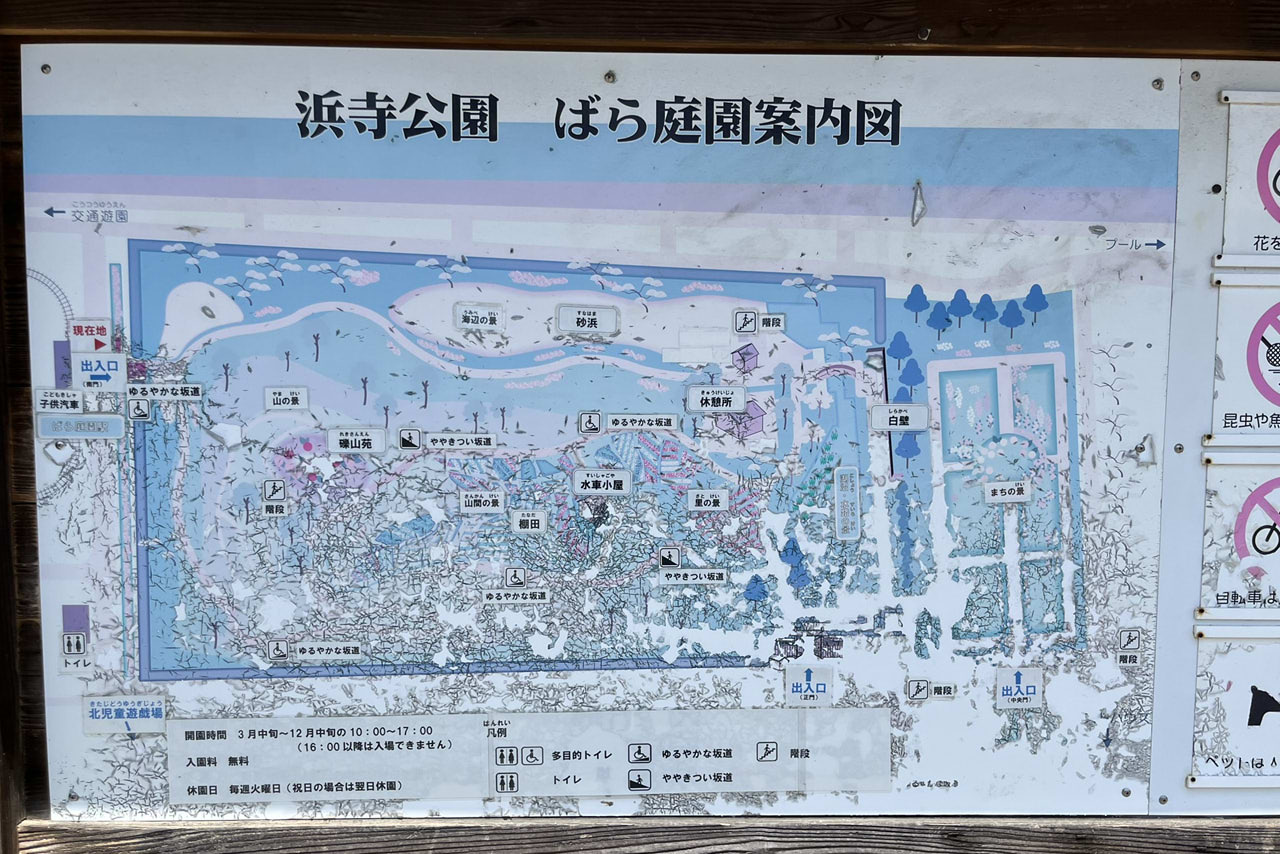 浜寺公園の遊具や施設の様子。遊具・プール・バーベキュー・交通遊園などが楽しめる広い公園