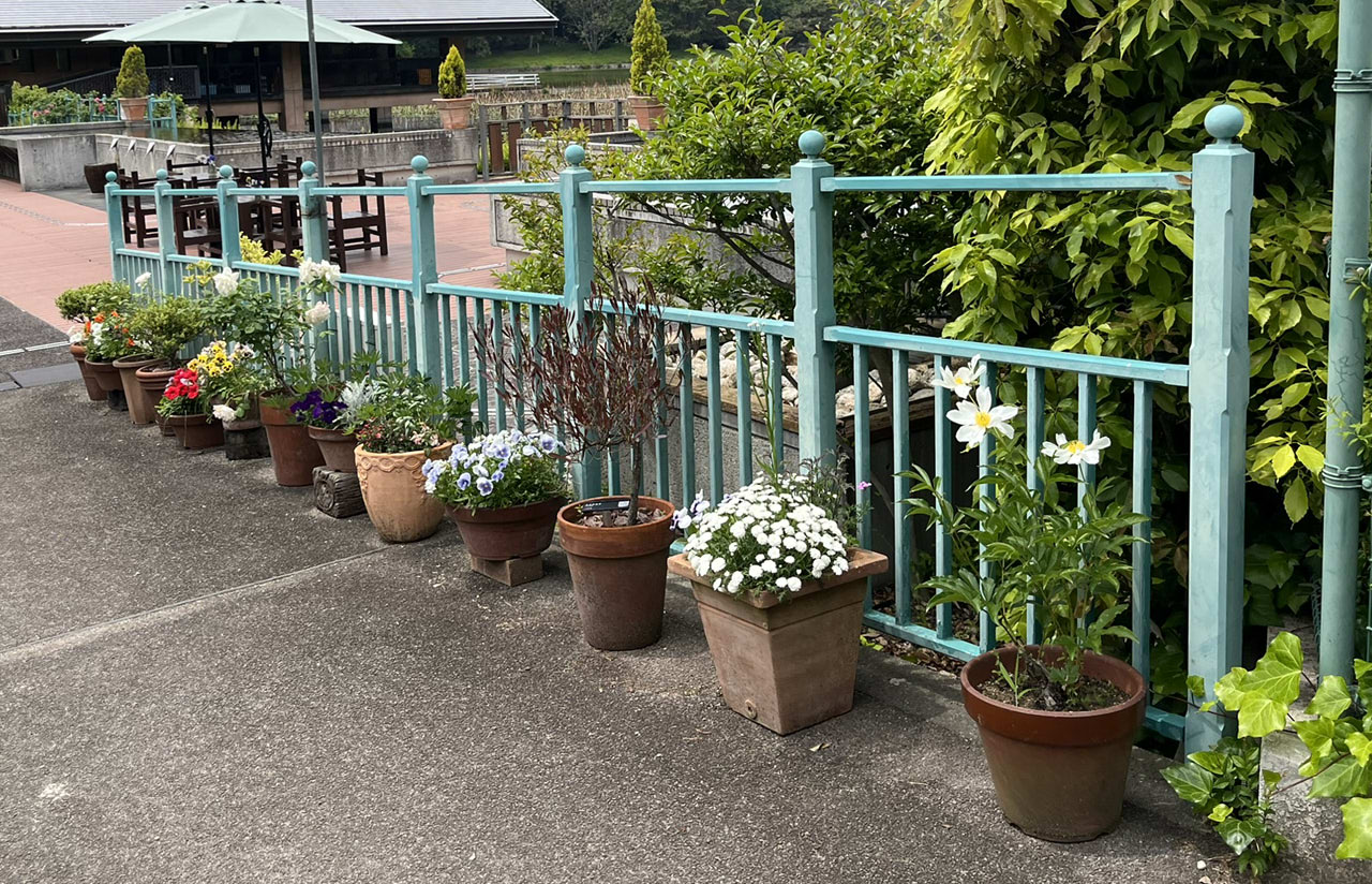 大泉緑地の園内風景