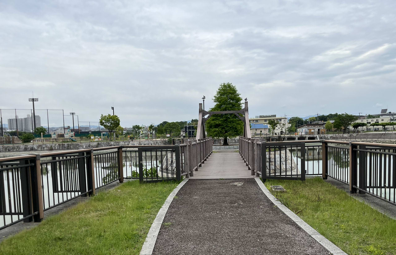 原池公園の池と芝生広場の風景、ウォーキングにもおすすめ