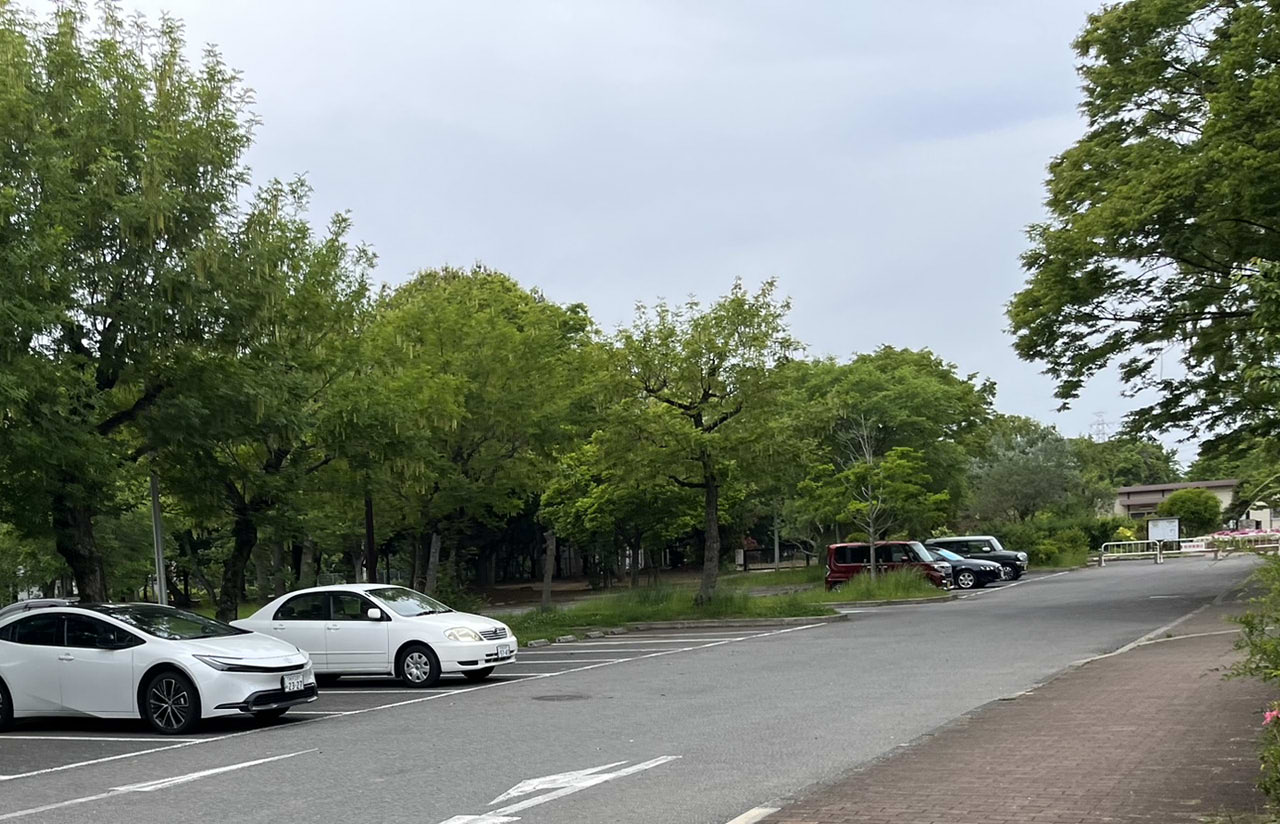 大泉緑地の園内風景駐車場
