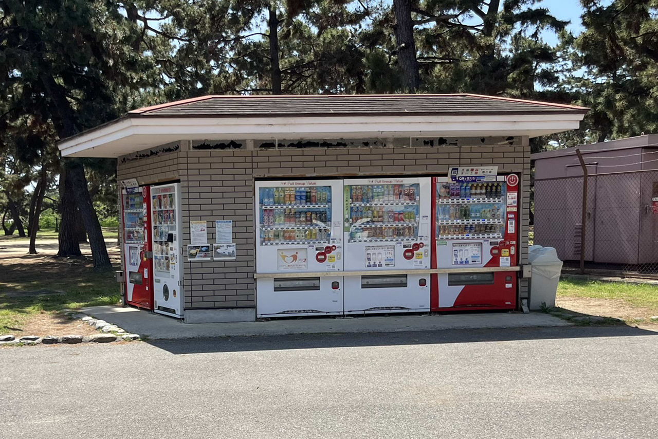 浜寺公園の遊具や施設の様子。遊具・プール・バーベキュー・交通遊園などが楽しめる広い公園