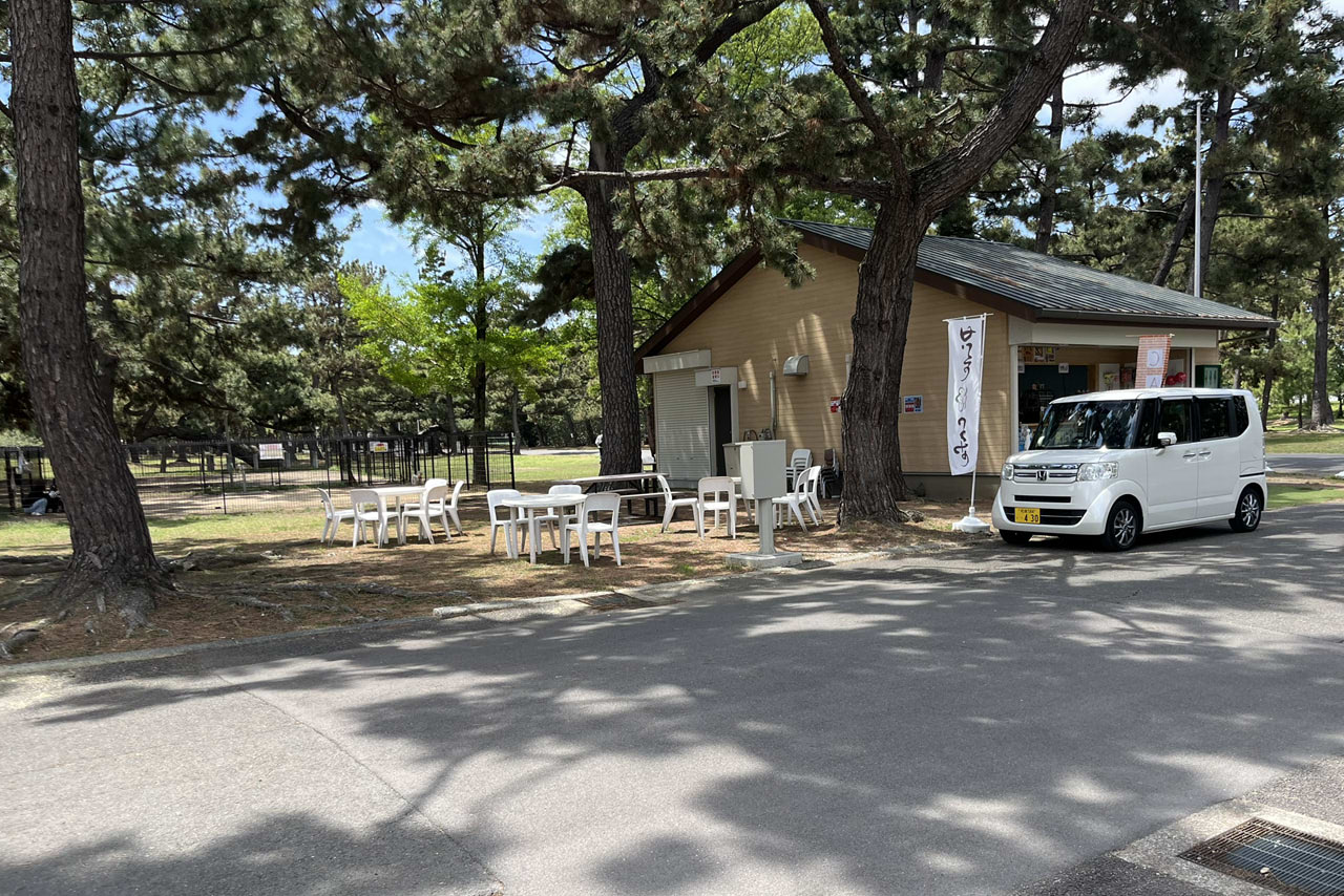 浜寺公園の遊具や施設の様子。遊具・プール・バーベキュー・交通遊園などが楽しめる広い公園