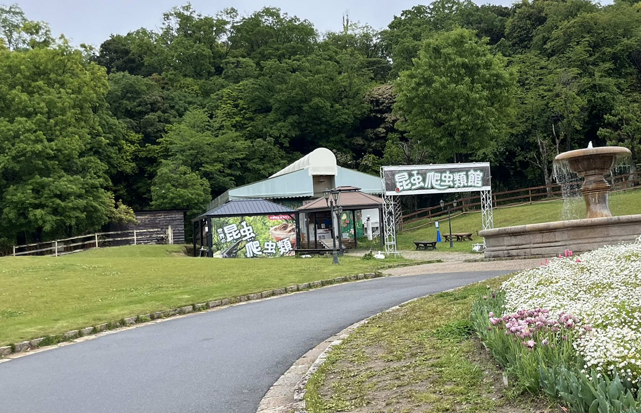 雨の日のハーベストの丘、曇り空の下でも静かに広がる園内の様子