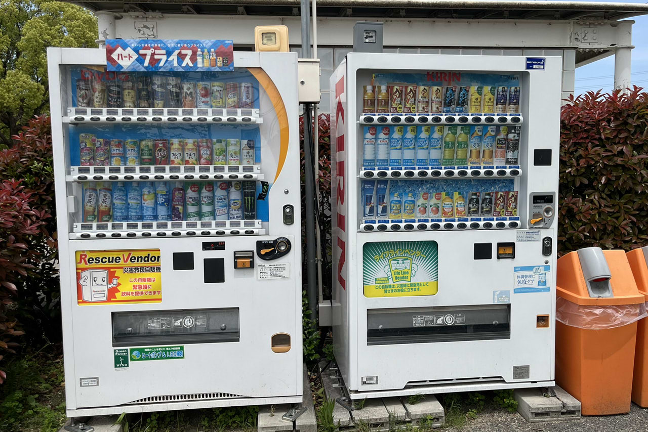 金岡公園の雰囲気や施設が伝わる現地の風景