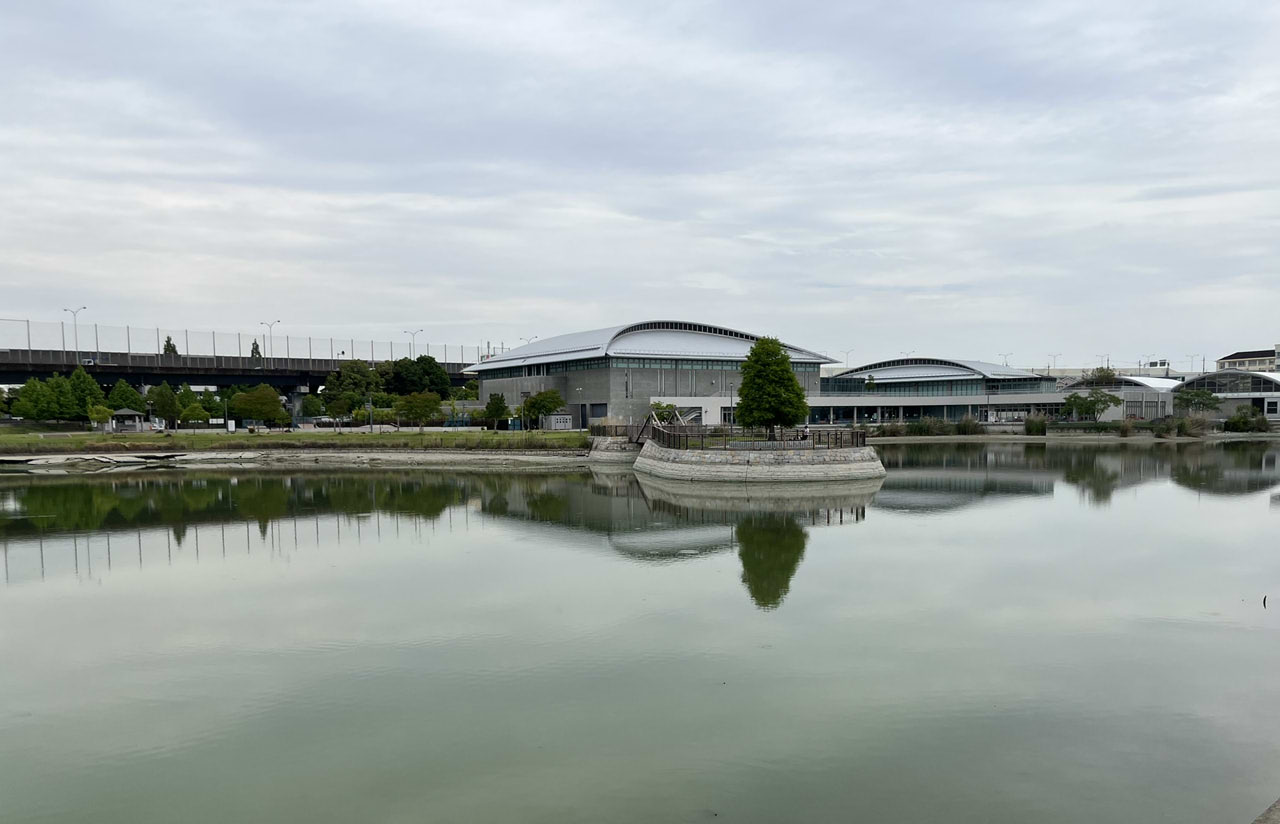 原池公園の池と芝生広場の風景、ウォーキングにもおすすめ