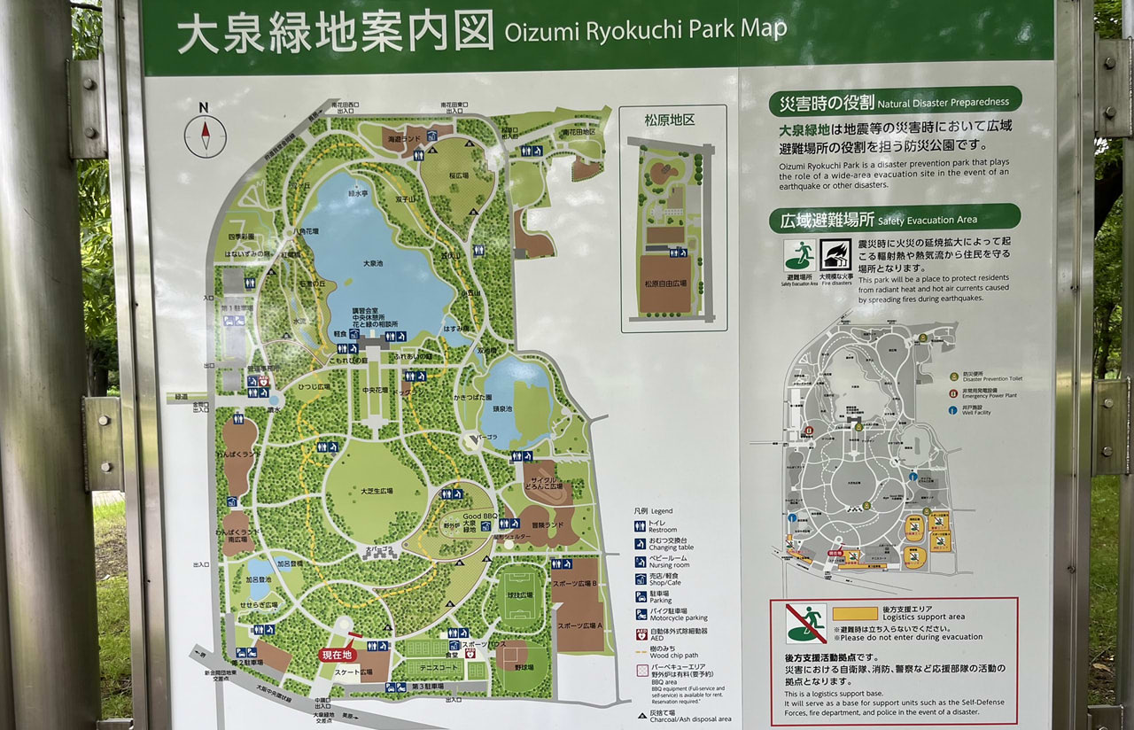 大泉緑地の園内風景。広々とした芝生と青空が広がる