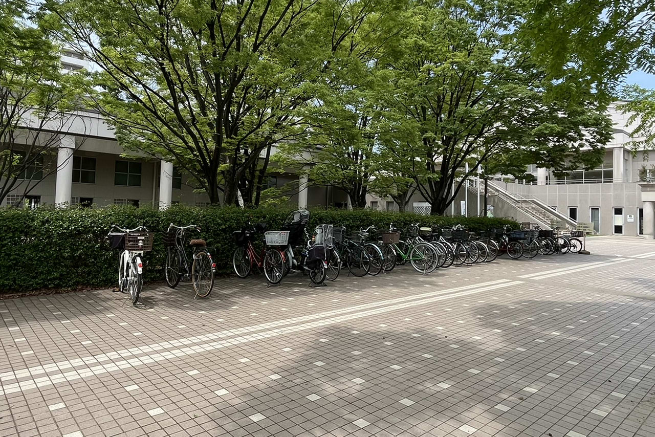 金岡公園の雰囲気や施設が伝わる現地の風景