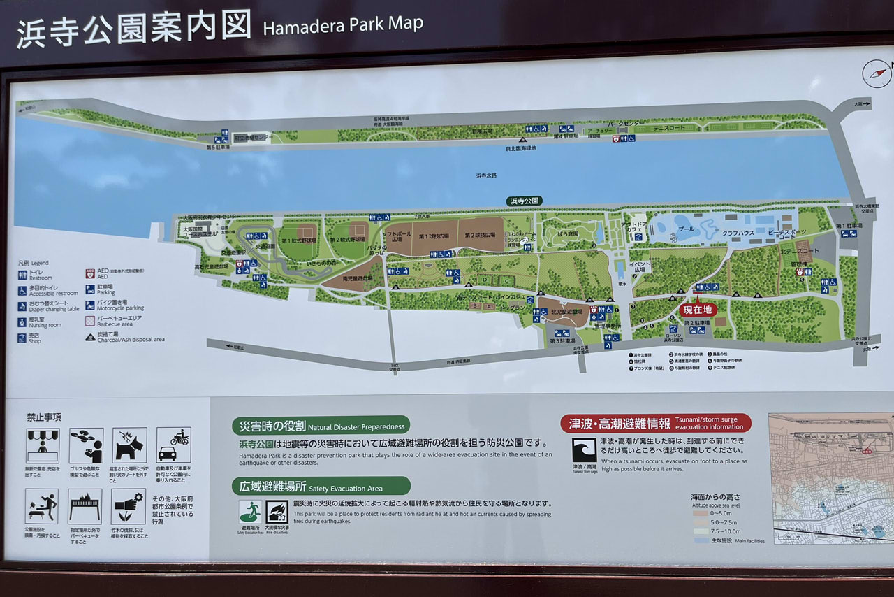 浜寺公園の遊具や施設の様子。遊具・プール・バーベキュー・交通遊園などが楽しめる広い公園