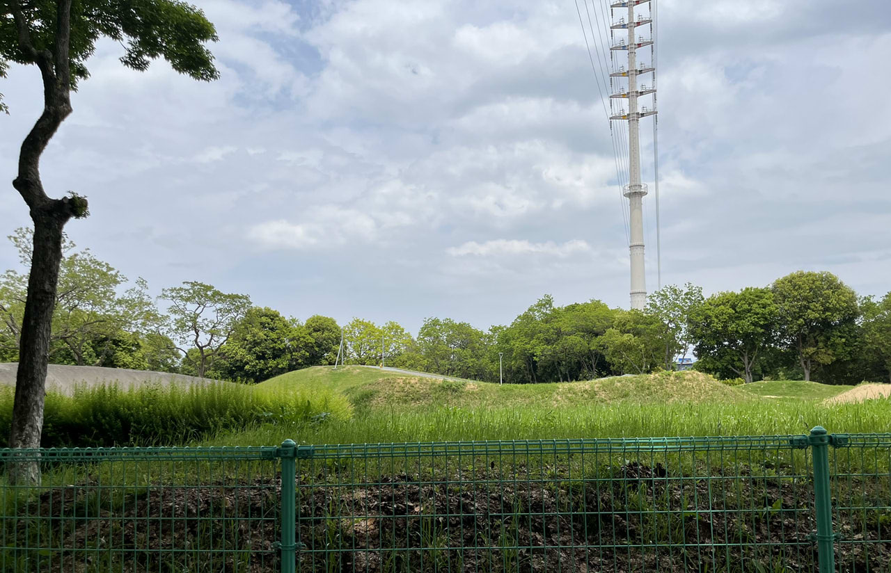 大泉緑地の園内風景
