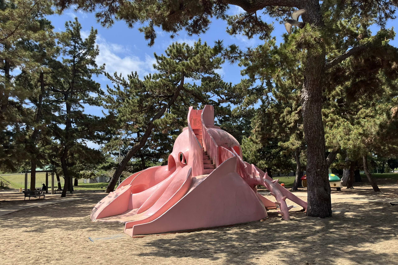 浜寺公園の遊具や施設の様子。遊具・プール・バーベキュー・交通遊園などが楽しめる広い公園