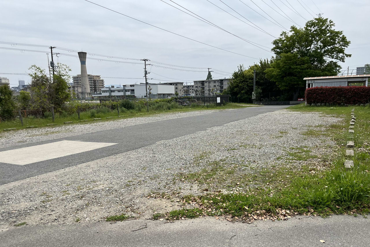金岡公園の雰囲気や施設が伝わる現地の風景