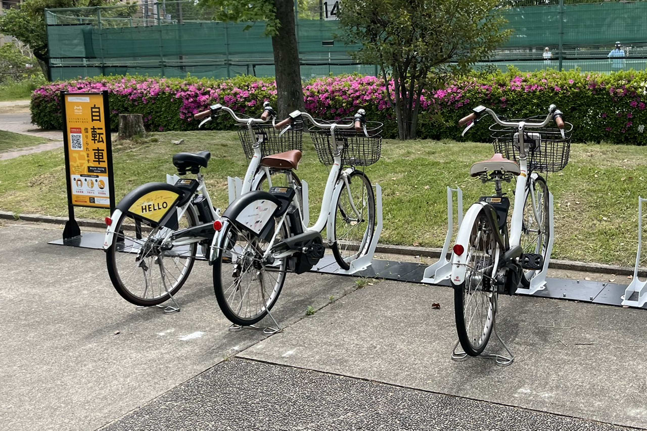 金岡公園の雰囲気や施設が伝わる現地の風景