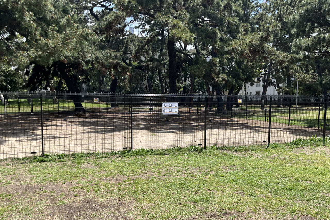 浜寺公園の遊具や施設の様子。遊具・プール・バーベキュー・交通遊園などが楽しめる広い公園