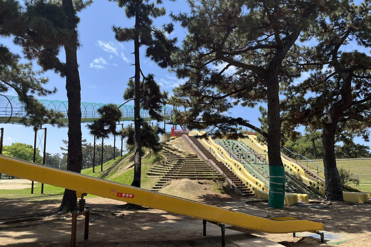 浜寺公園の遊具や施設の様子。遊具・プール・バーベキュー・交通遊園などが楽しめる広い公園